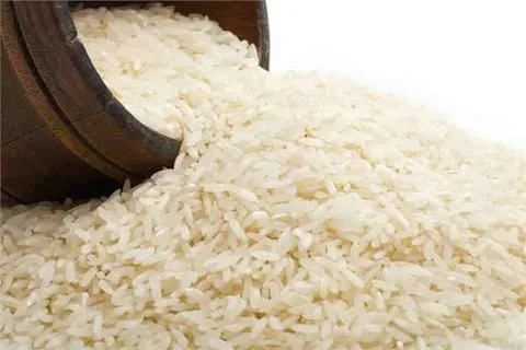 قیمت خرید برنج عنبر بو کارون عمده به صرفه و ارزان